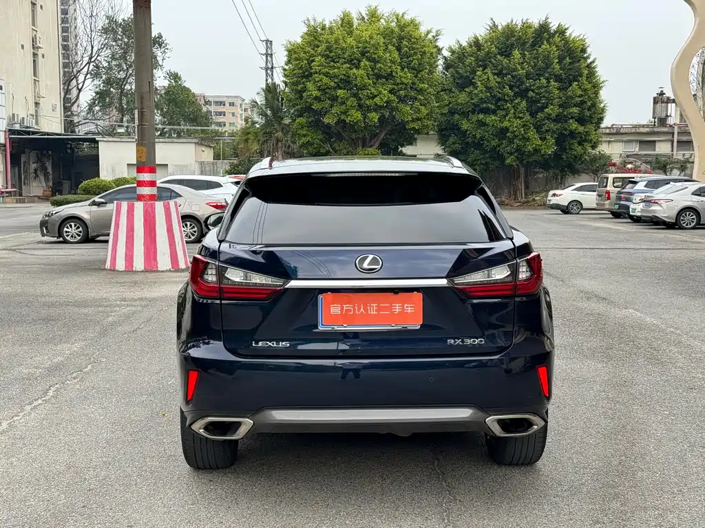 LEXUS RX