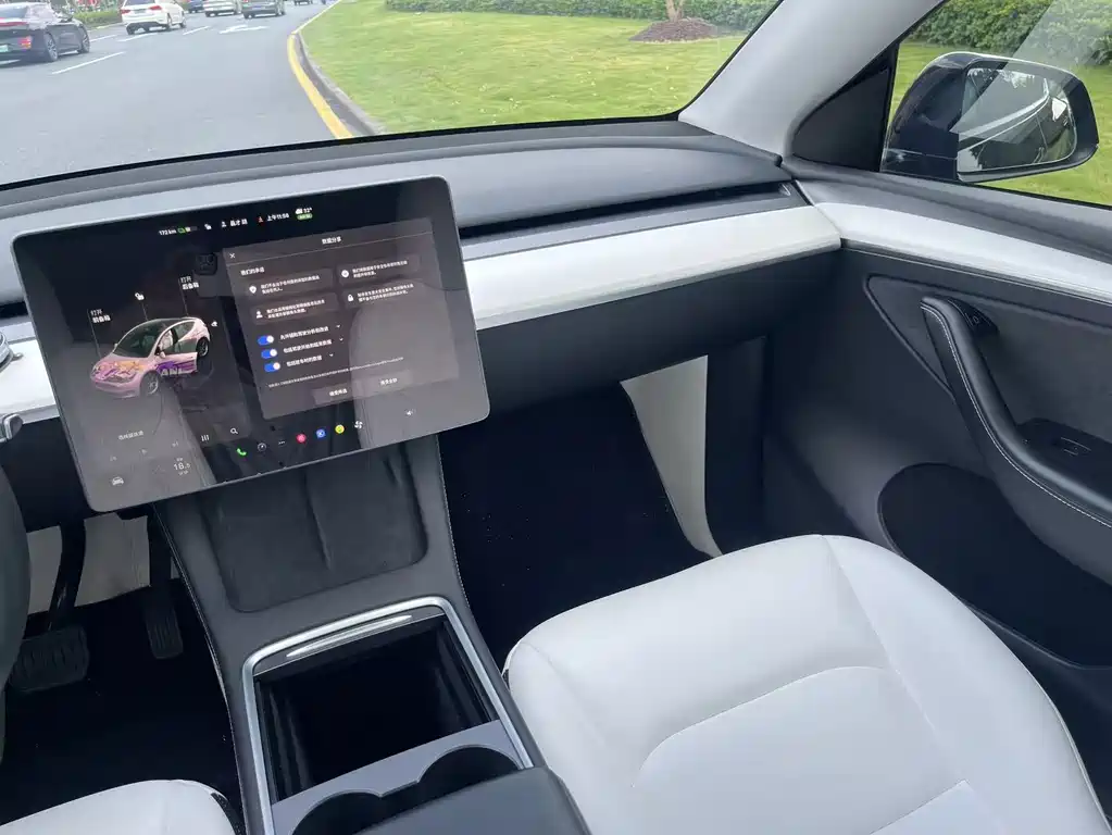 Tesla Model Y — миниатюра 16