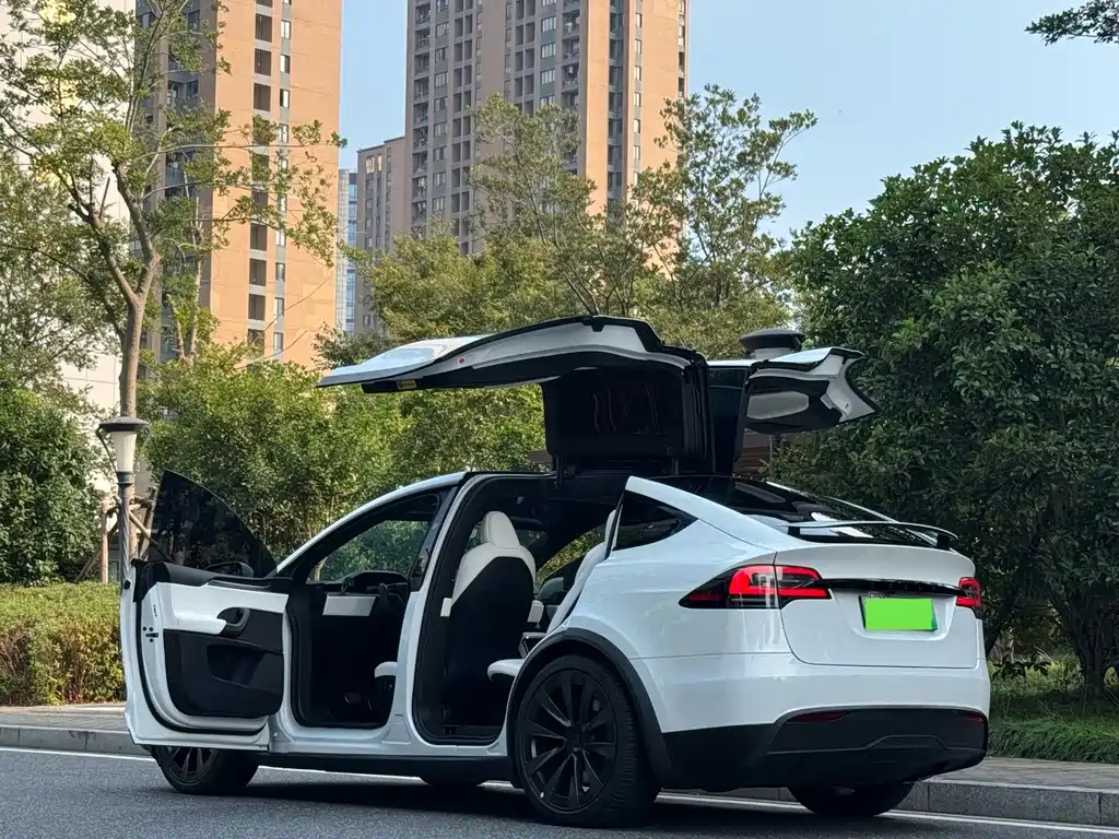 Tesla Model X — миниатюра 15