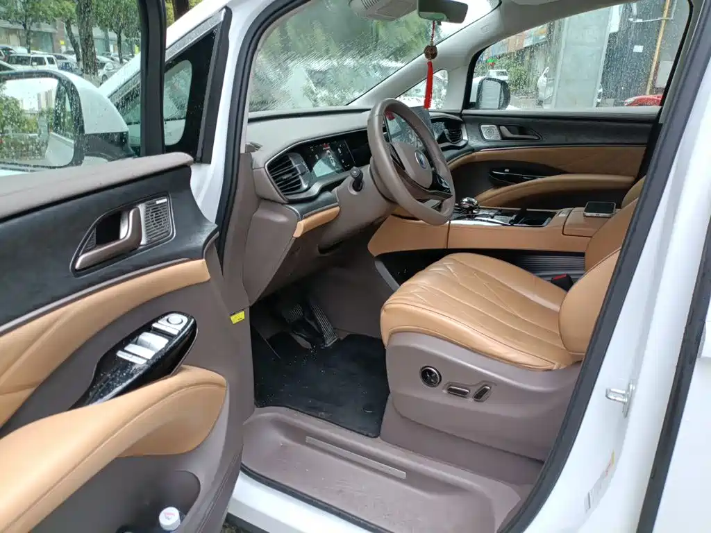 Denza Denza D9 — миниатюра 14