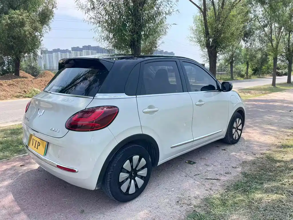 Wuling Binguo 2023 410km Premium