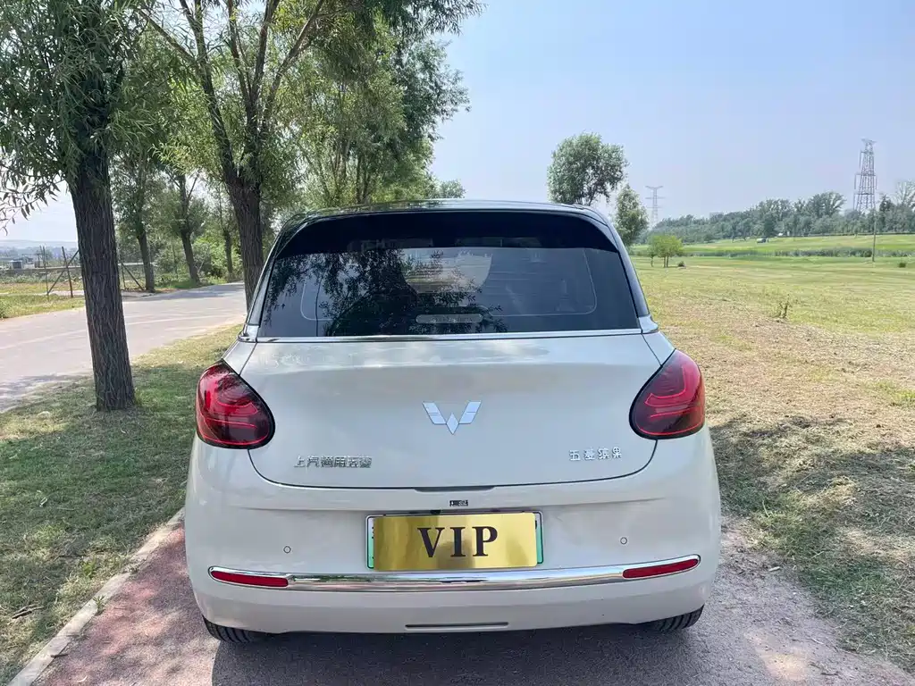 Wuling Binguo 2023 410km Premium