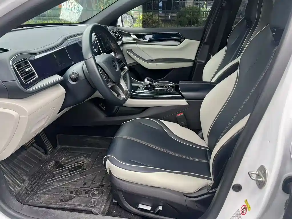 BYD Qin Plus PLUS 2023 Champion EV 420KM Lead