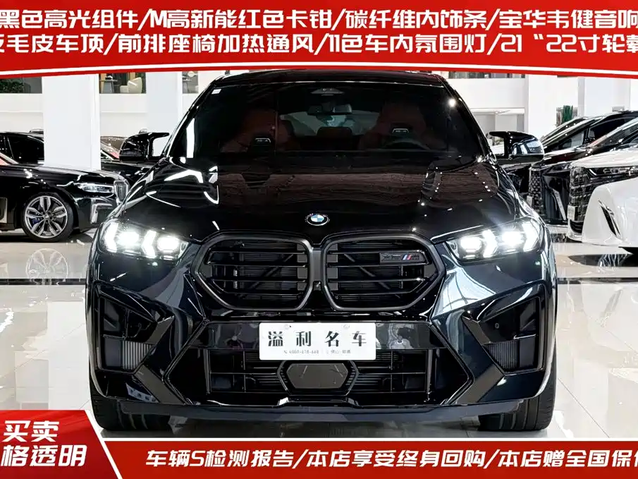 BMW X6 M — миниатюра 2
