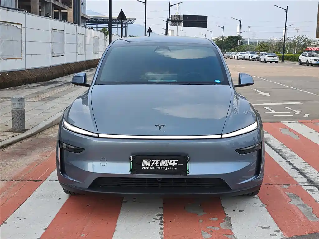 Tesla Model Y L — миниатюра 2