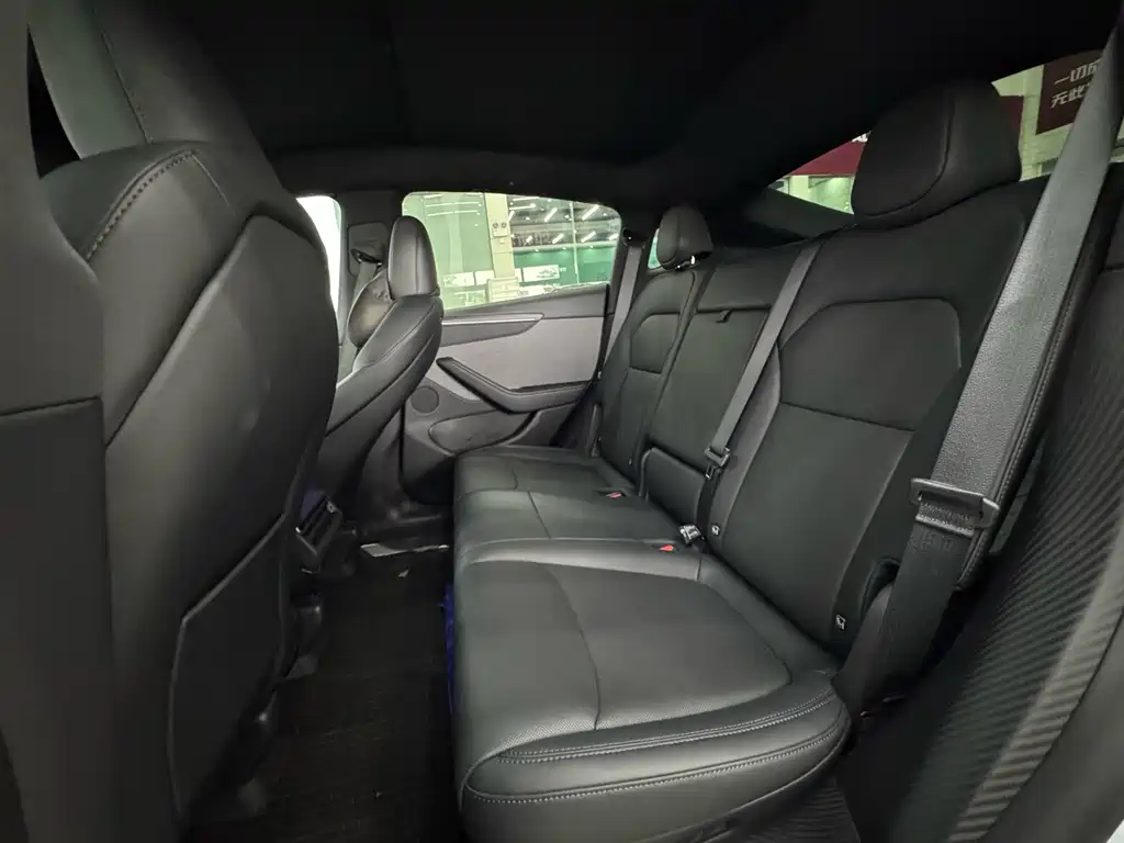Tesla Model Y — миниатюра 11
