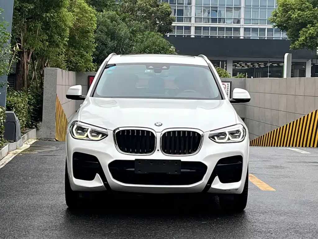 BMW X3 — миниатюра 2