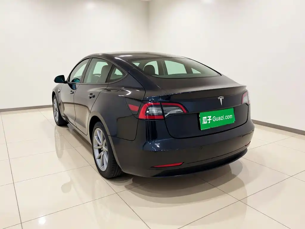 Tesla Model 3 — миниатюра 4
