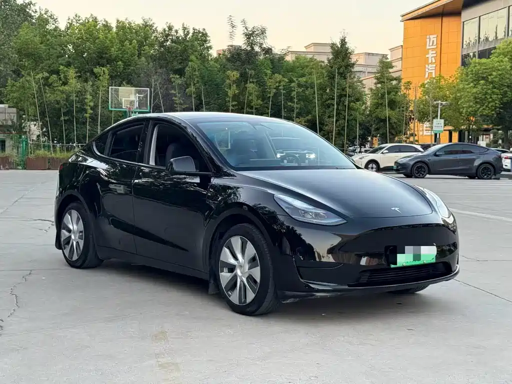 Tesla Model Y — миниатюра 3