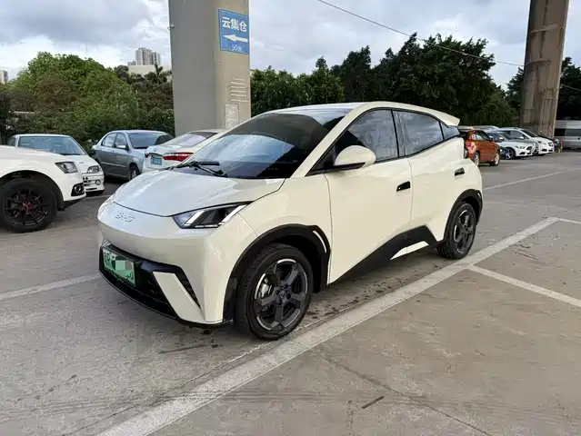 2024 BYD Seagull