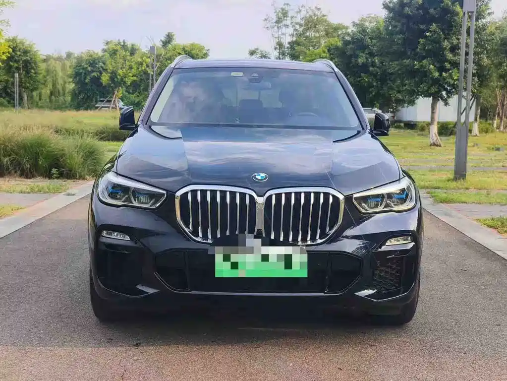 BMW X5 New Energy (Import) — миниатюра 2