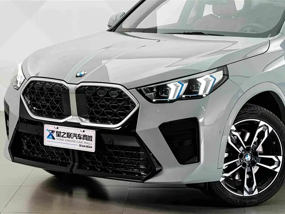BMW X2 (Import) — миниатюра 2