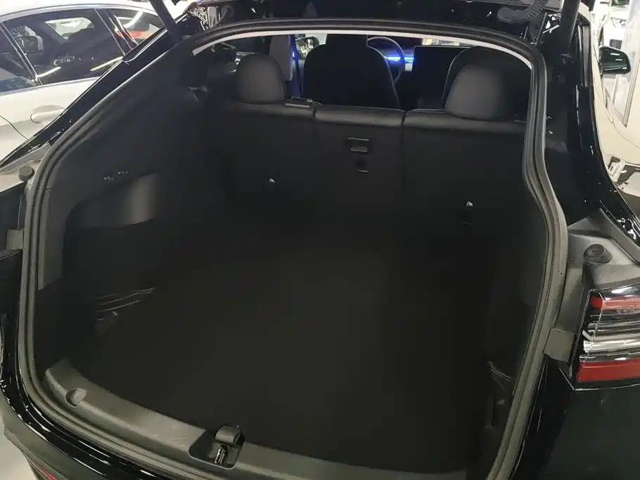Tesla Model Y — миниатюра 4