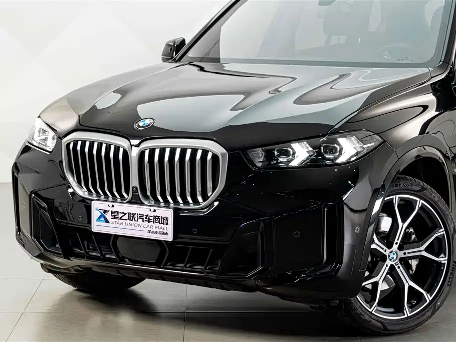 BMW X5 — миниатюра 2