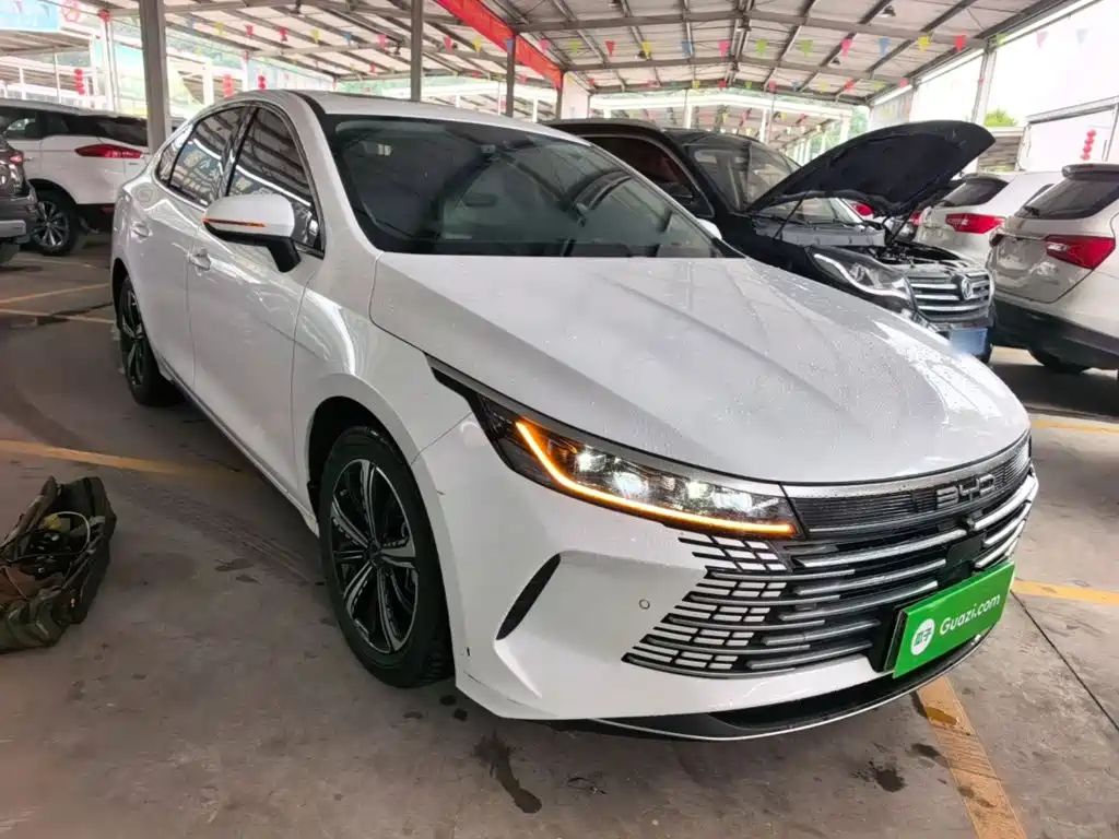 BYD Destroyer 05 — миниатюра 4