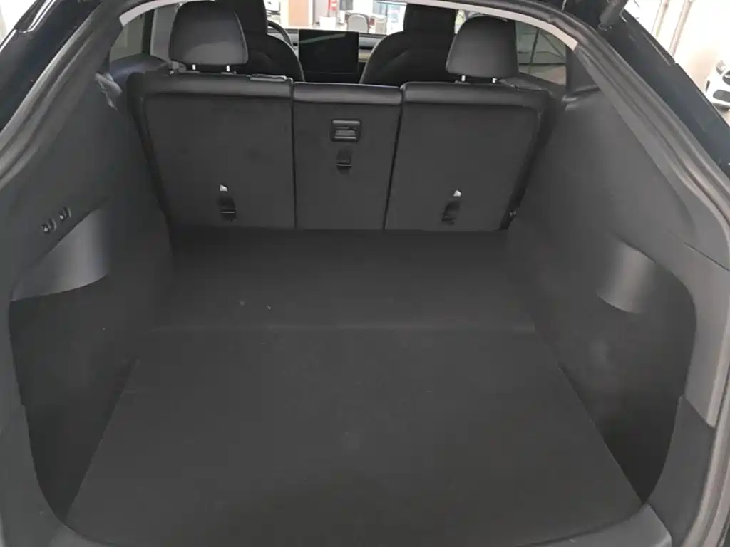 Tesla Model Y — миниатюра 19