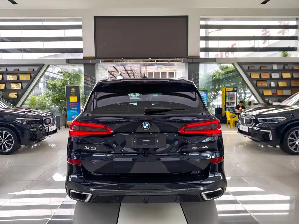 BMW X5 (Import) — миниатюра 5