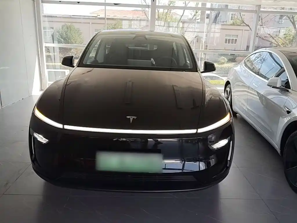 Tesla Model Y — миниатюра 3