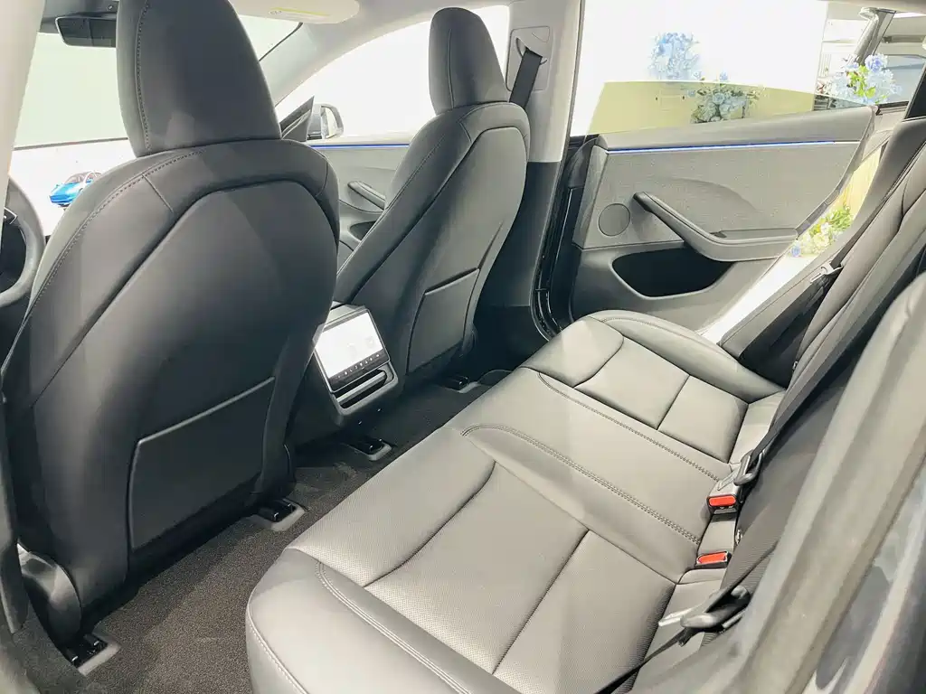 Tesla Model 3 — миниатюра 6