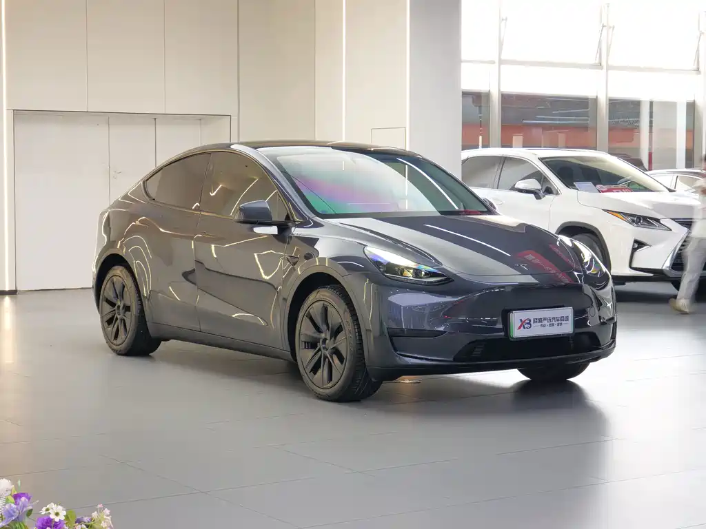 Tesla Model Y — миниатюра 3
