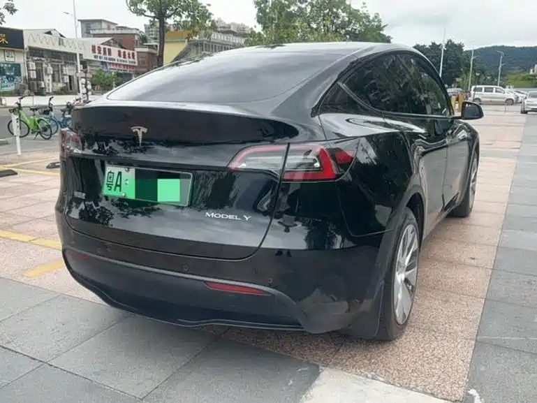 Tesla Model Y — миниатюра 4