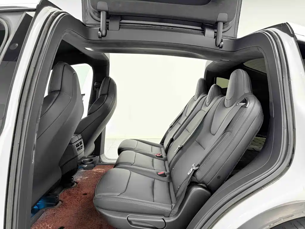 Tesla Model X 2019 Performance