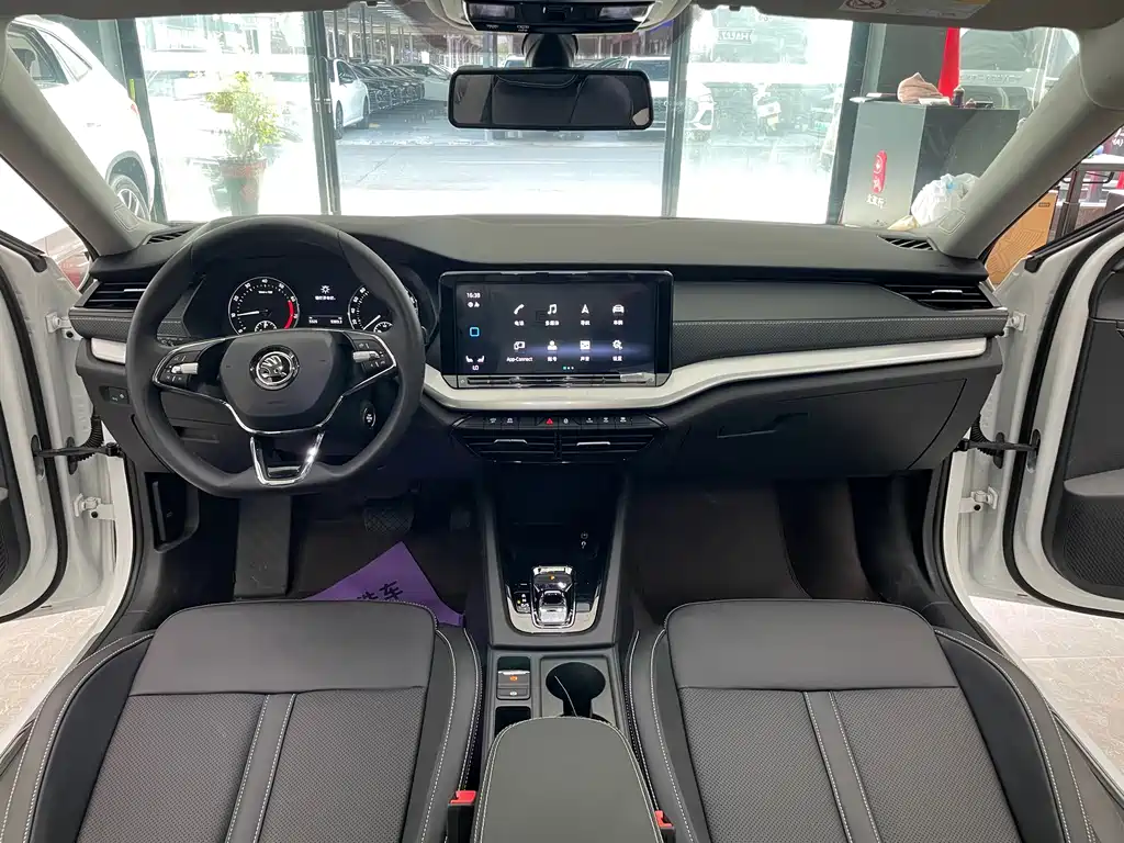 Skoda Octavia Facelift PRO TSI280 Premium Edition, фото 8