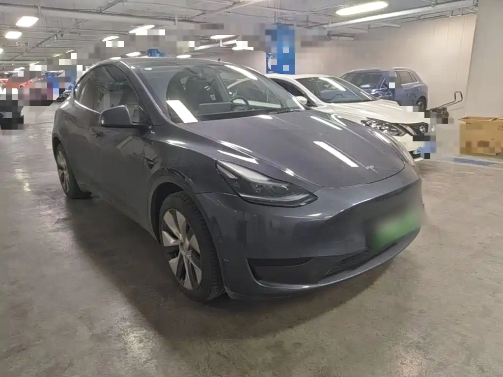 Tesla Model Y — миниатюра 4
