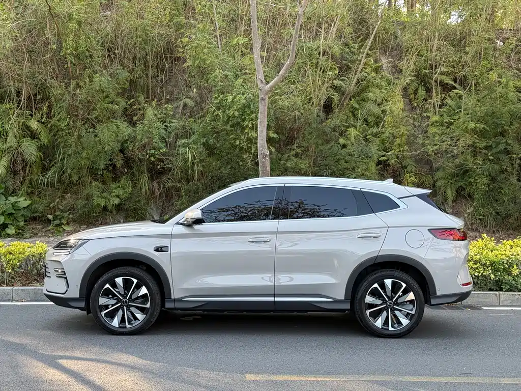 BYD SONGJIANG NEW ENERGY