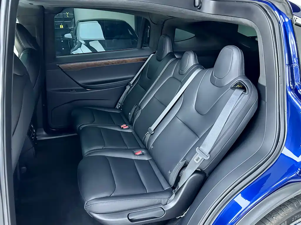 Tesla Model X — миниатюра 9