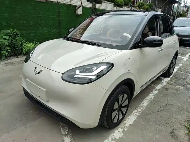 2024 Wuling Motors Binguo