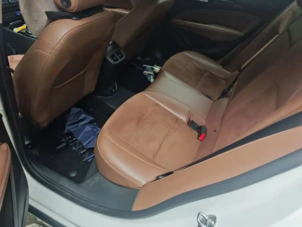 Buick Regal — миниатюра 15