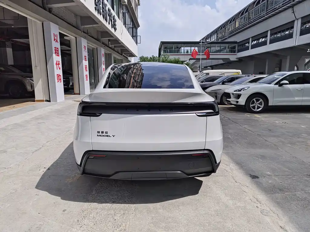 Tesla Model Y — миниатюра 8