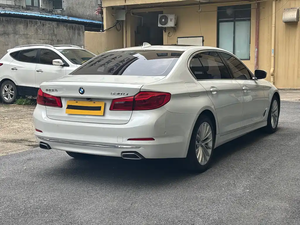 BMW 5 Series 5 2020 530Li Lead Luxury