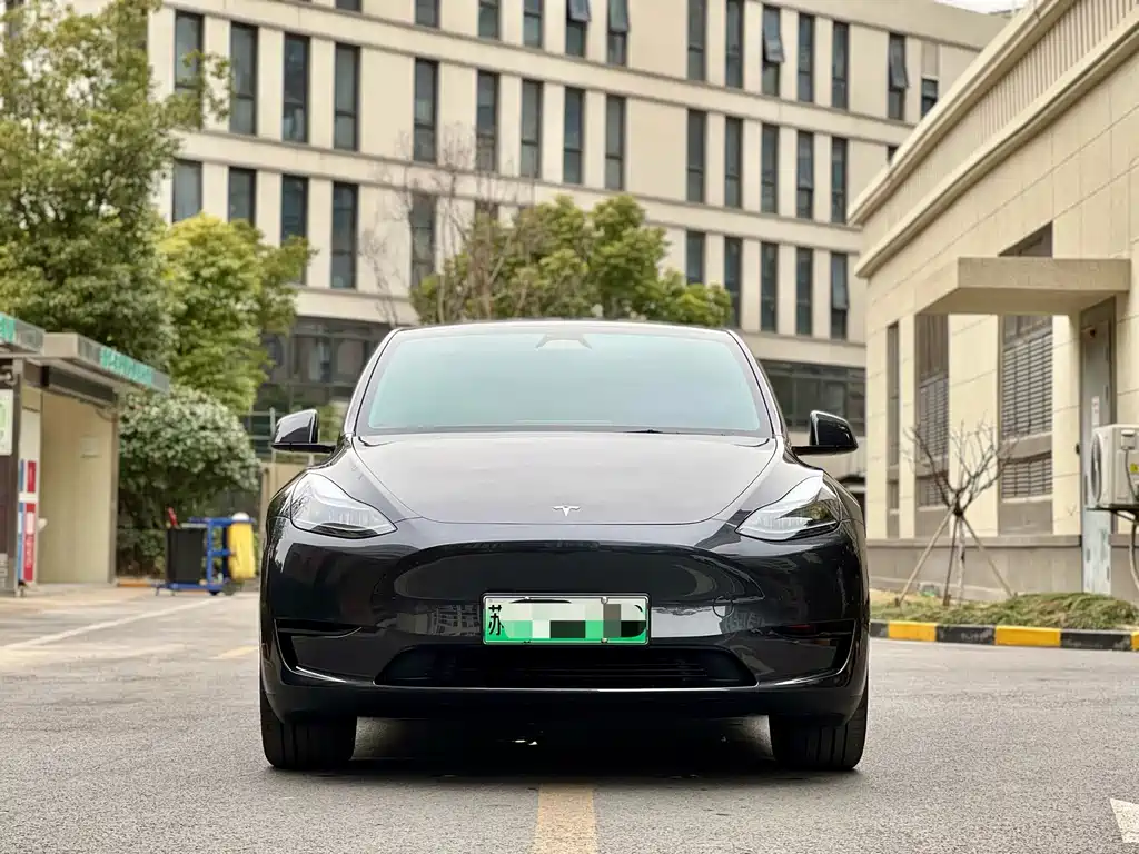 Tesla Model Y — миниатюра 2