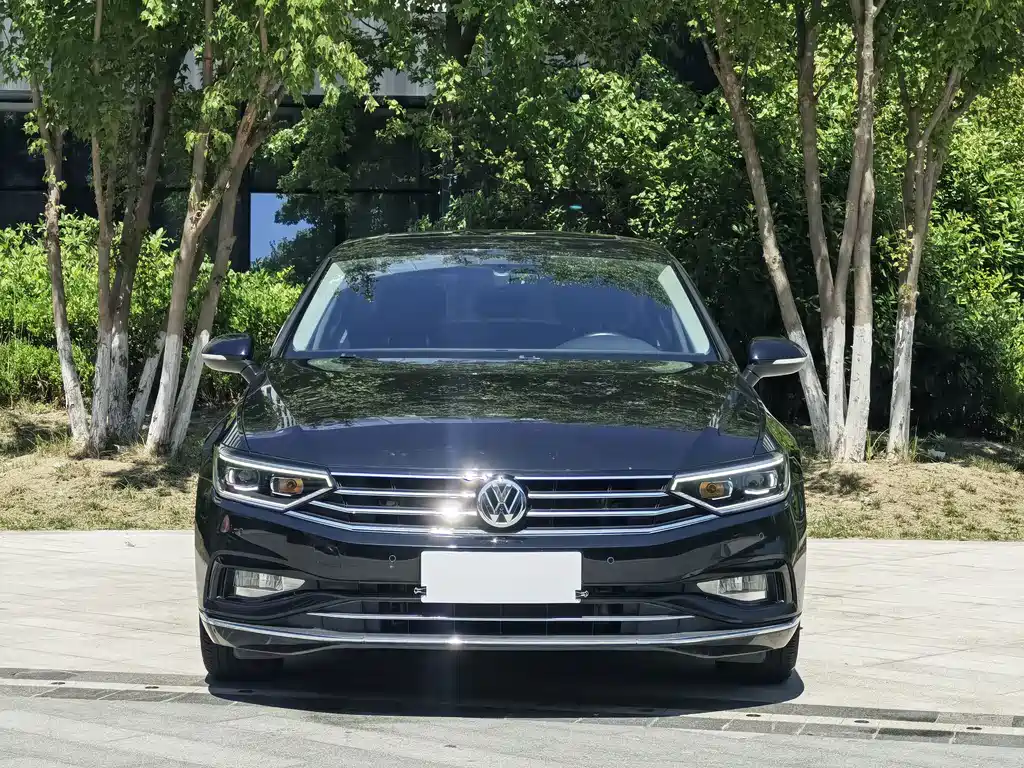 Volkswagen Magotan — миниатюра 2