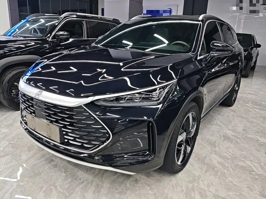 BYD Tang New Energy — миниатюра 2
