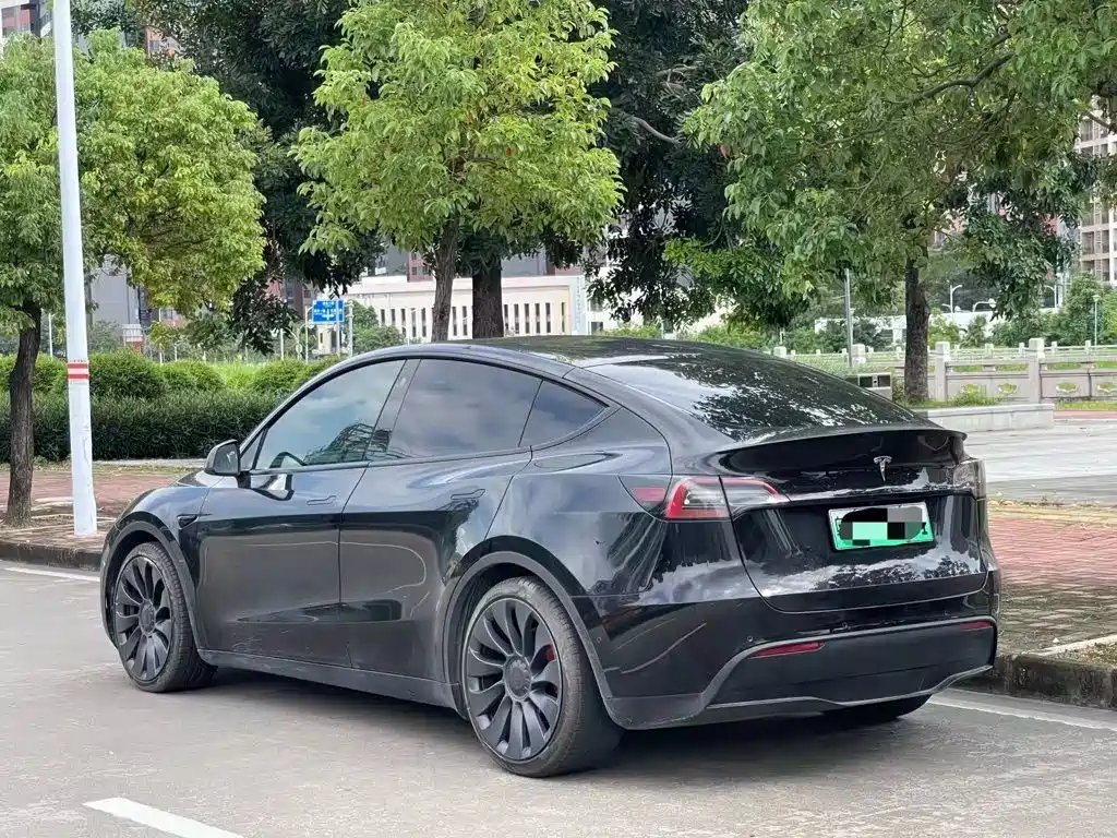 Tesla Model Y — миниатюра 3