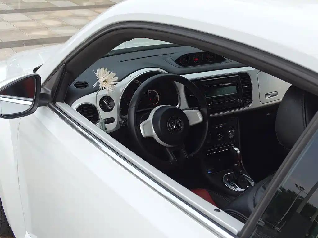 Volkswagen Beetle — миниатюра 11