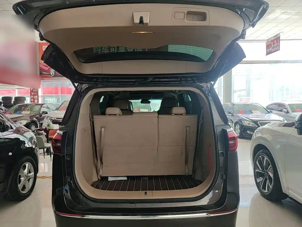 Buick GL8 — миниатюра 19
