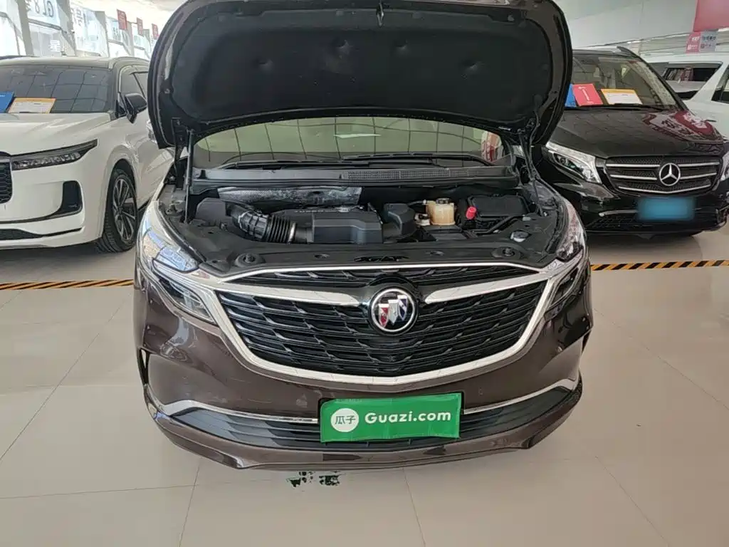 Buick GL8 — миниатюра 20