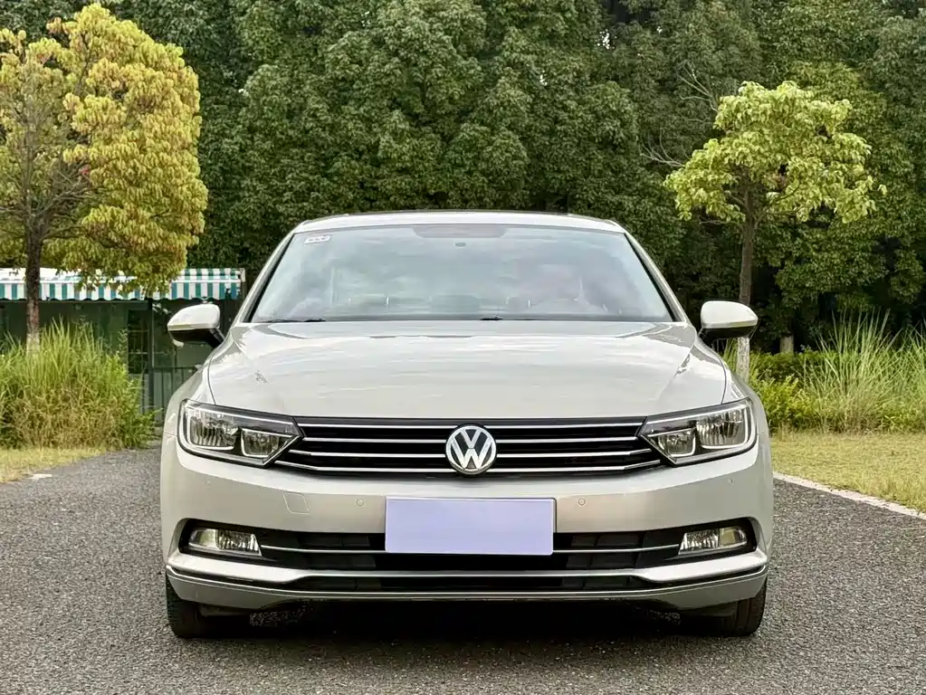 Volkswagen Magotan — миниатюра 2