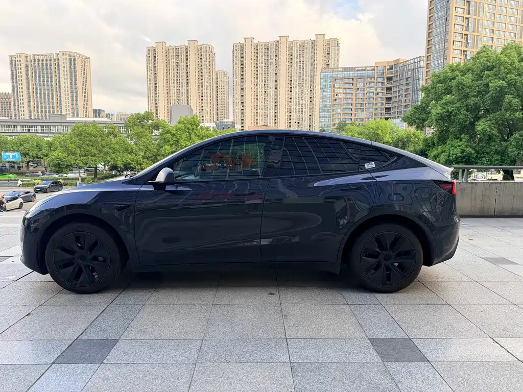 Tesla Model Y — миниатюра 15