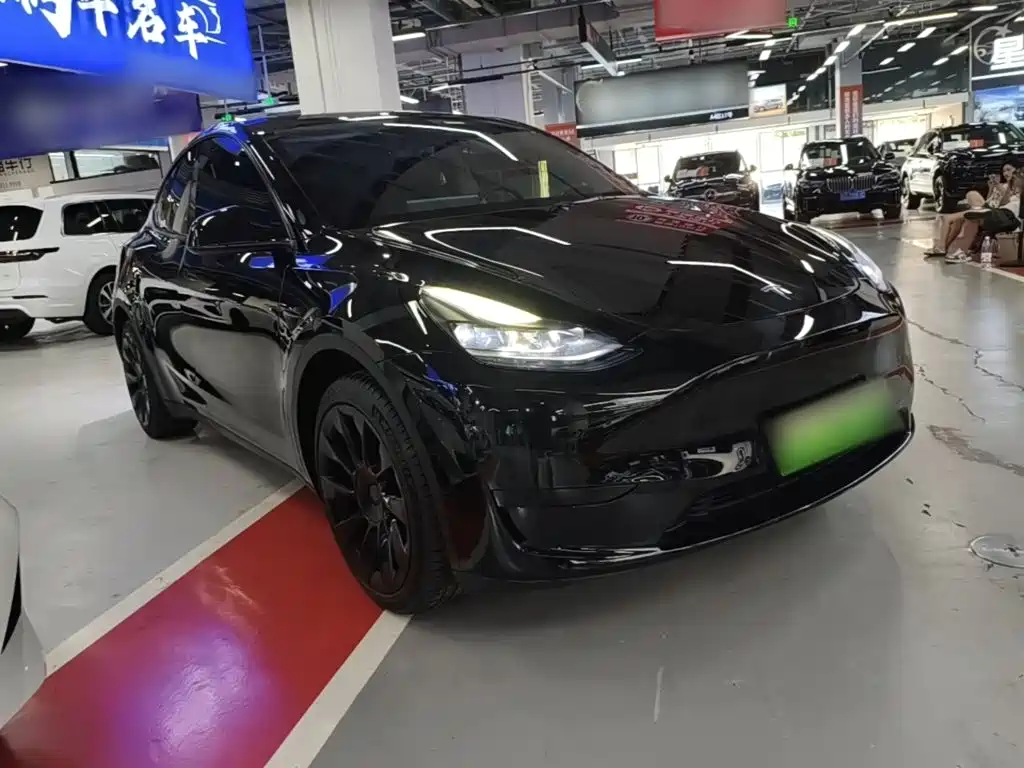 Tesla Model Y — миниатюра 4
