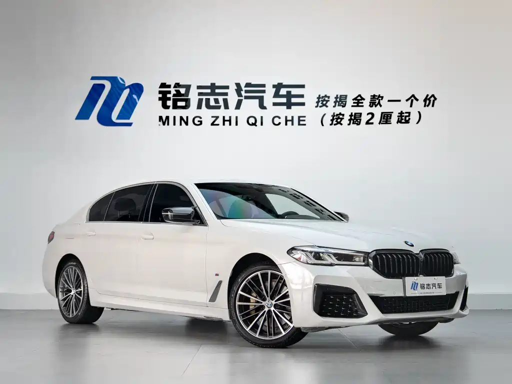 BMW 5 Series 530Li Leading Type M Sport Package, фото 4