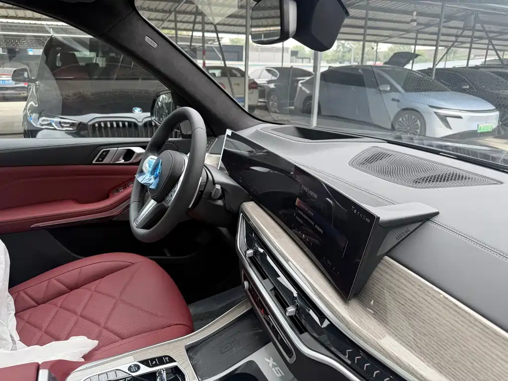 BMW X5 — миниатюра 25