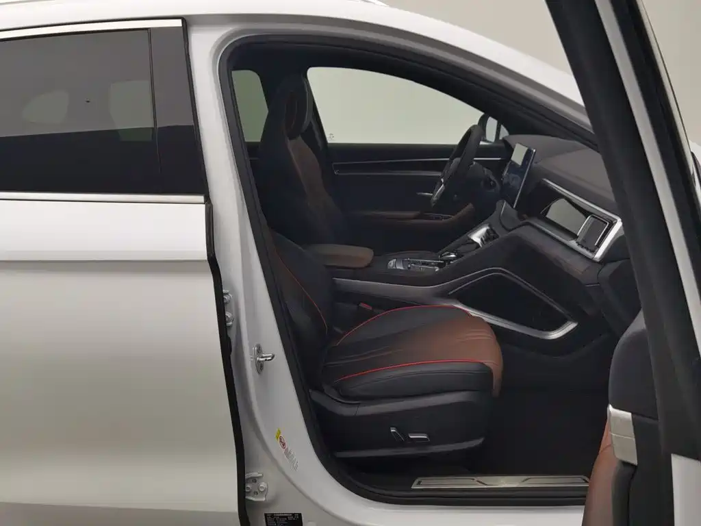 BYD PLUS — миниатюра 23