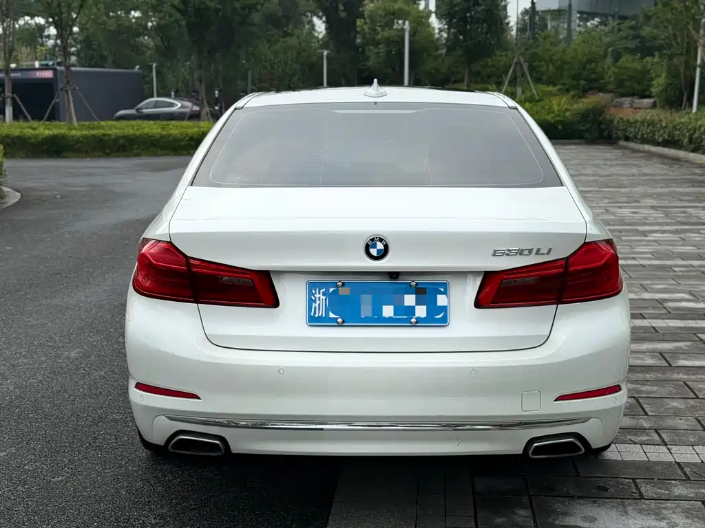 BMW 5 Series 5 2020 530Li Premium Luxury