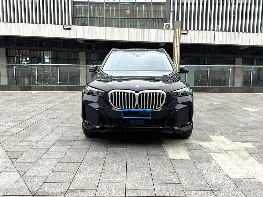 BMW X5 — миниатюра 2