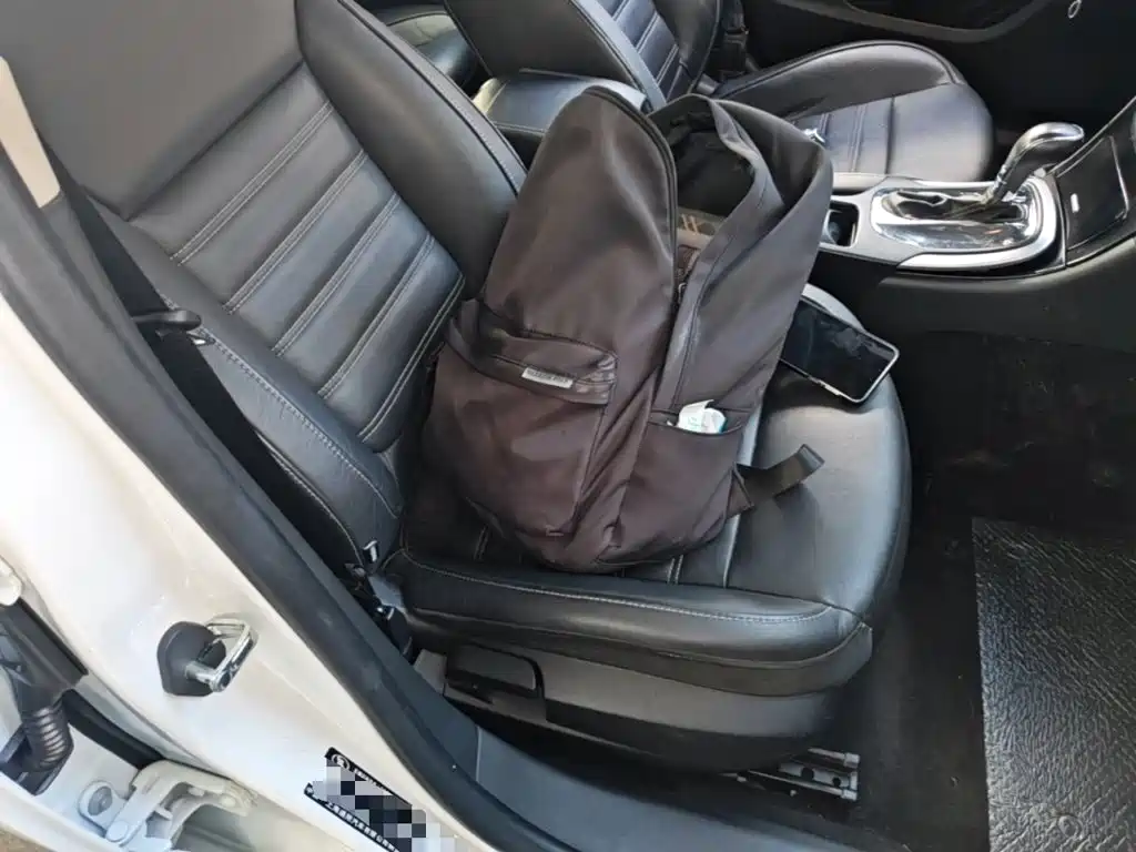 Buick Regal — миниатюра 25